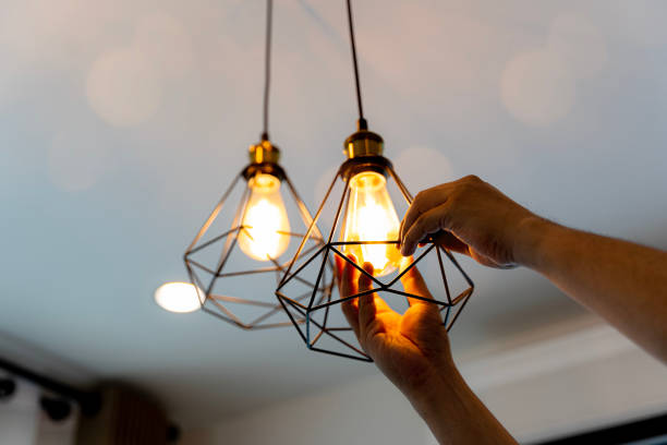Best Outdoor Lighting Installation  in Waverly, MI