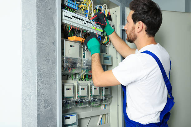 Best Licensed Electrician  in Waverly, MI